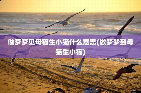 做梦梦见母猫生小猫什么意思(做梦梦到母猫生小猫)