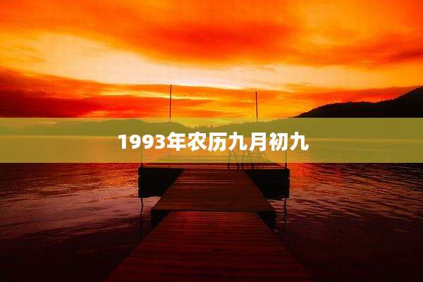 1993年农历九月初九