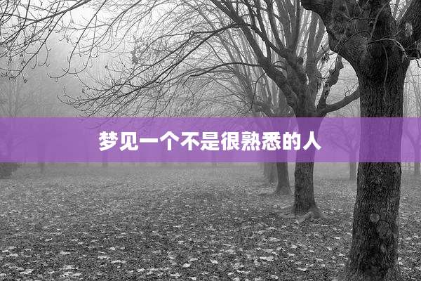 梦见一个不是很熟悉的人
