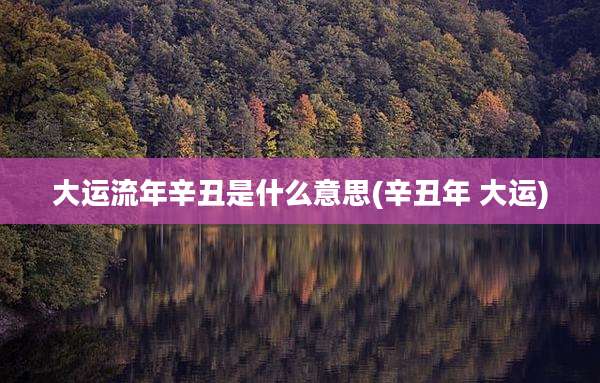 大运流年辛丑是什么意思(辛丑年 大运)
