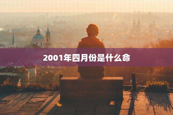 2001年四月份是什么命