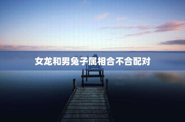 女龙和男兔子属相合不合配对