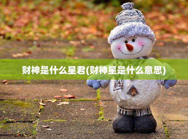 财神是什么星君(财神星是什么意思)
