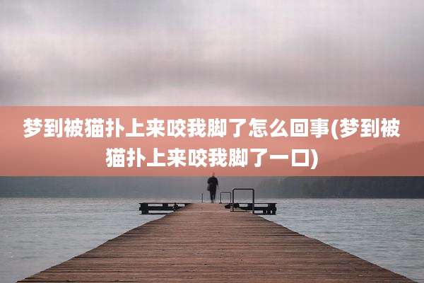 梦到被猫扑上来咬我脚了怎么回事(梦到被猫扑上来咬我脚了一口)