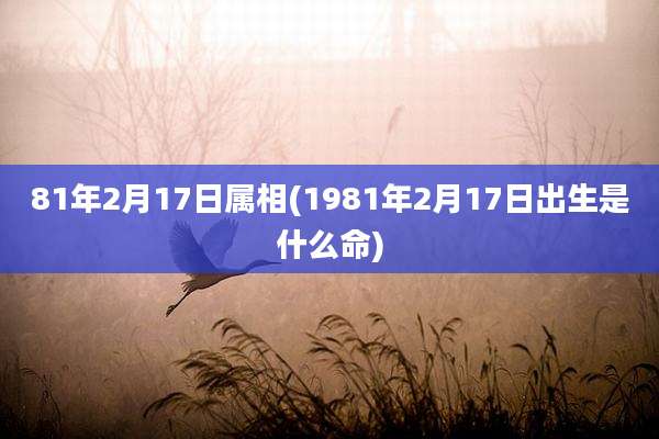 81年2月17日属相(1981年2月17日出生是什么命)
