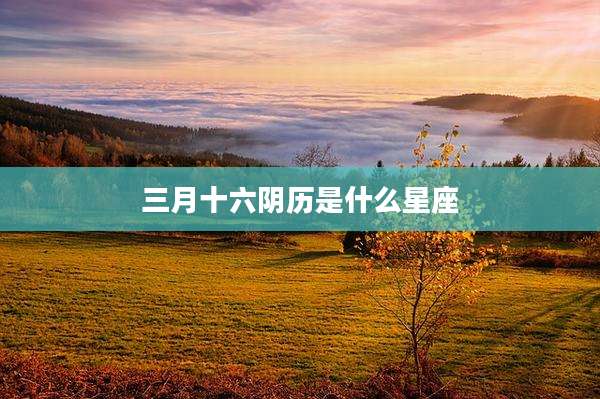 三月十六阴历是什么星座