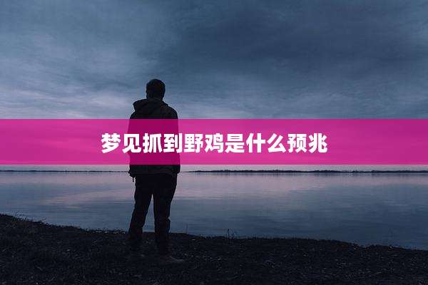 梦见抓到野鸡是什么预兆