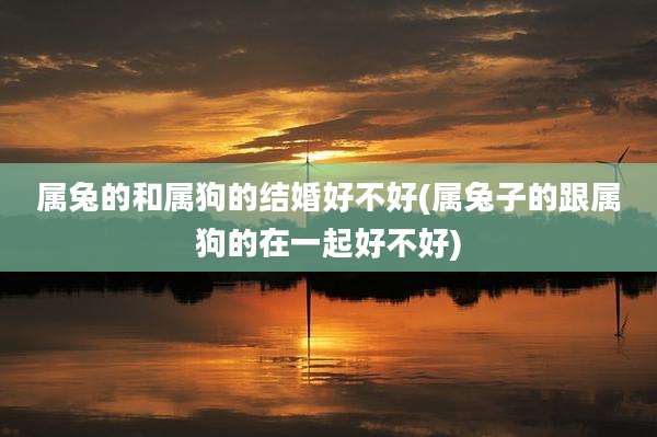 属兔的和属狗的结婚好不好(属兔子的跟属狗的在一起好不好)