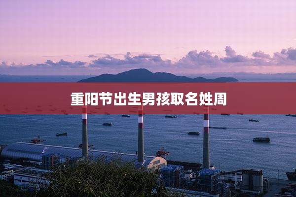 重阳节出生男孩取名姓周