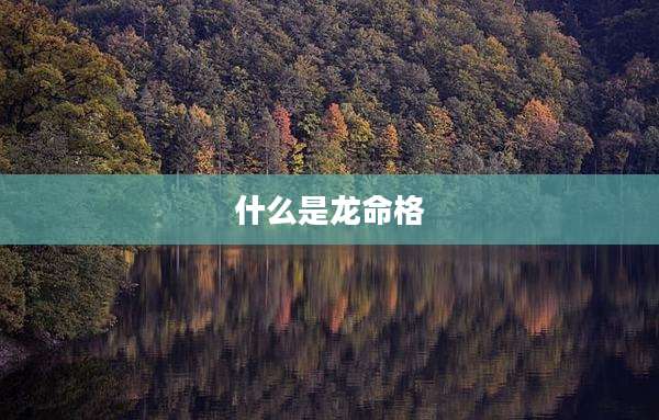 什么是龙命格