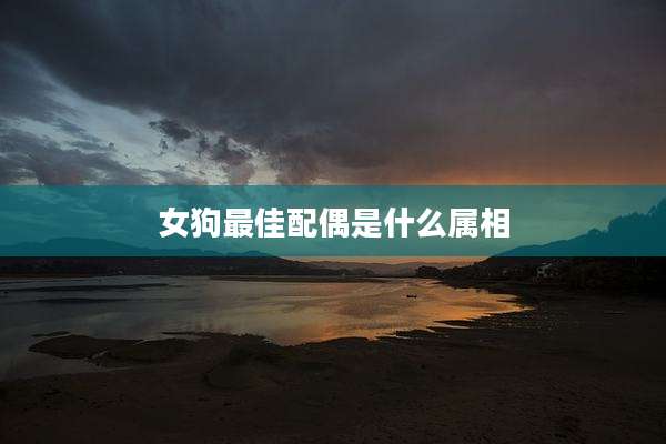 女狗最佳配偶是什么属相