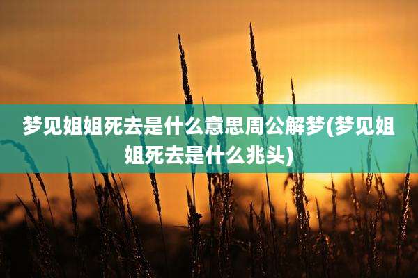 梦见姐姐死去是什么意思周公解梦(梦见姐姐死去是什么兆头)
