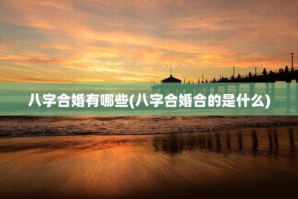 八字合婚有哪些(八字合婚合的是什么)