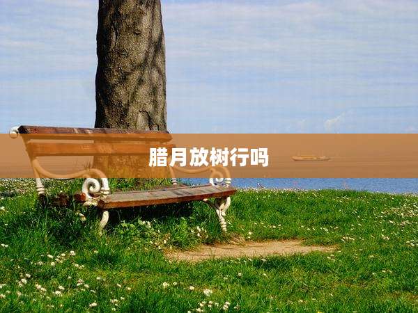 腊月放树行吗