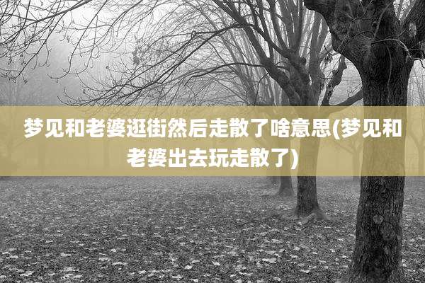 梦见和老婆逛街然后走散了啥意思(梦见和老婆出去玩走散了)