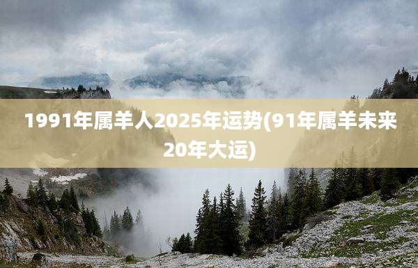 1991年属羊人2025年运势(91年属羊未来20年大运)