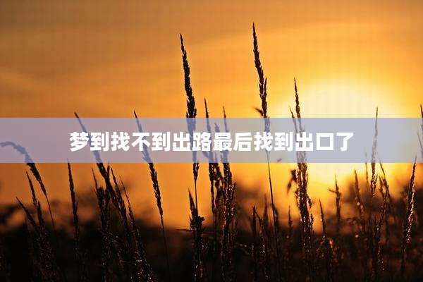 梦到找不到出路最后找到出口了