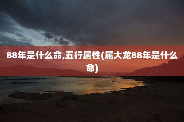 88年是什么命,五行属性(属大龙88年是什么命)