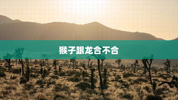 猴子跟龙合不合