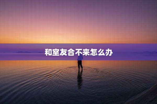 和室友合不来怎么办