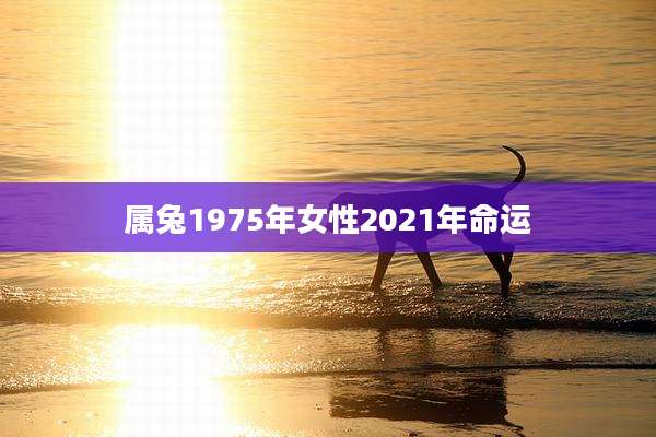 属兔1975年女性2021年命运