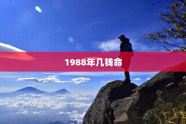 1988年几钱命