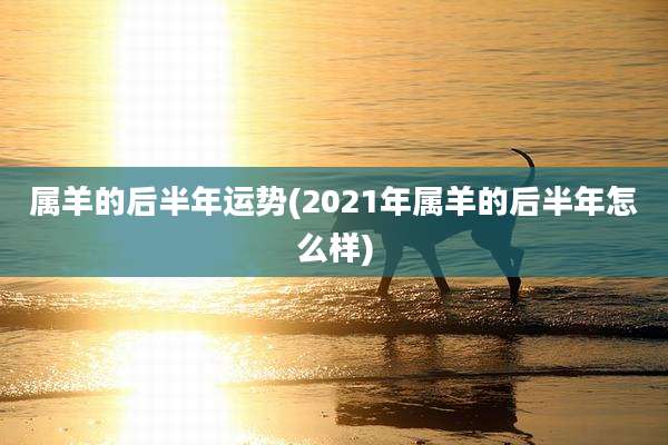 属羊的后半年运势(2021年属羊的后半年怎么样)