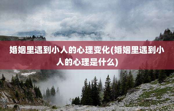 婚姻里遇到小人的心理变化(婚姻里遇到小人的心理是什么)