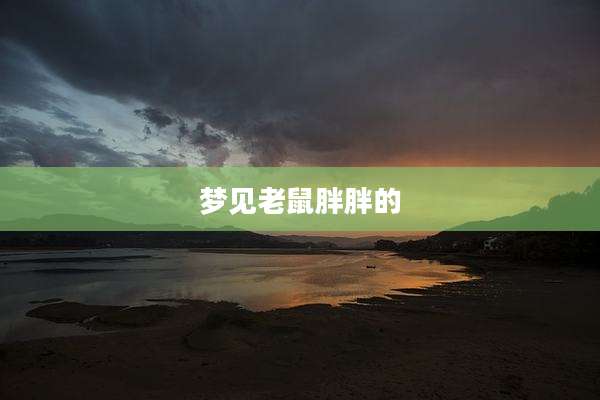 梦见老鼠胖胖的