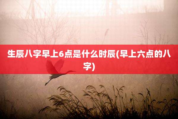 生辰八字早上6点是什么时辰(早上六点的八字)