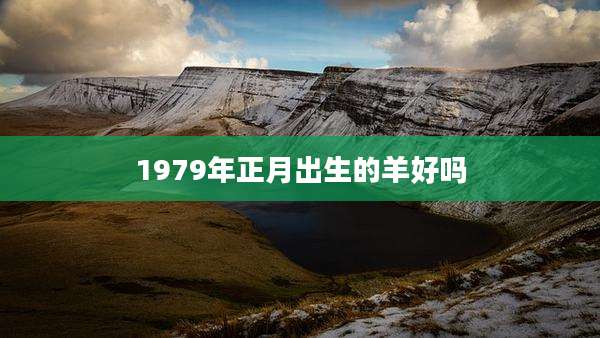 1979年正月出生的羊好吗