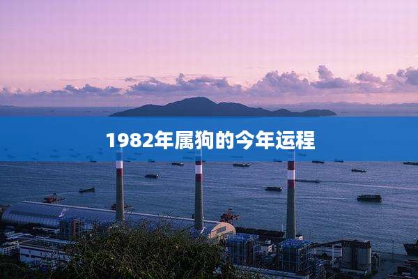 1982年属狗的今年运程