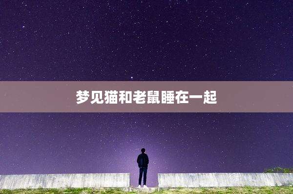 梦见猫和老鼠睡在一起
