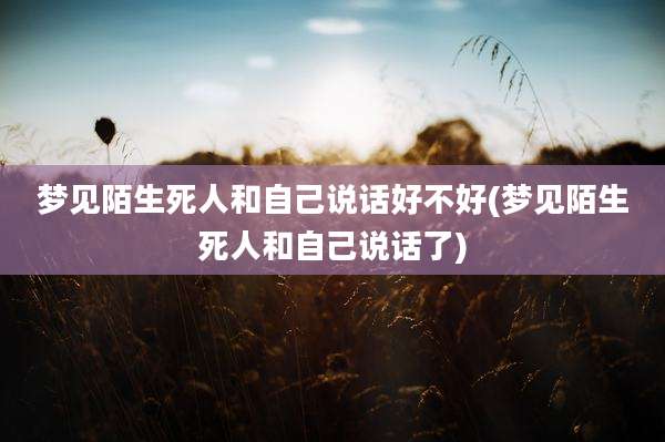 梦见陌生死人和自己说话好不好(梦见陌生死人和自己说话了)