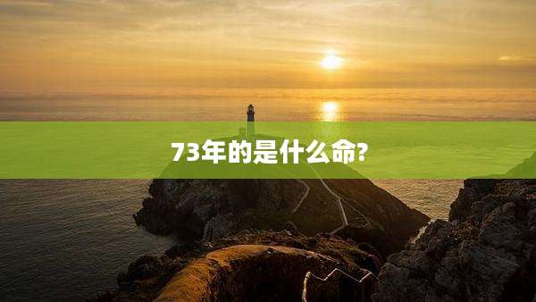 73年的是什么命?