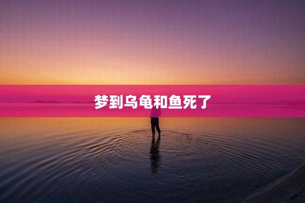 梦到乌龟和鱼死了