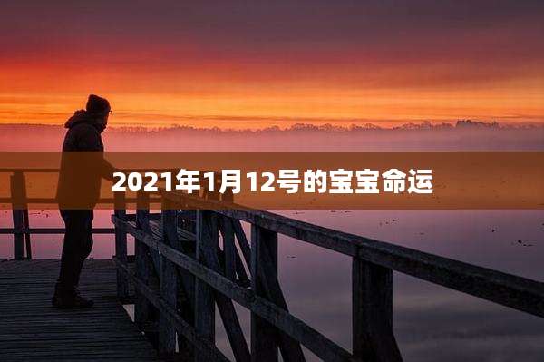 2021年1月12号的宝宝命运