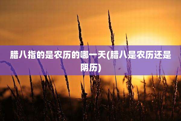 腊八指的是农历的哪一天(腊八是农历还是阴历)