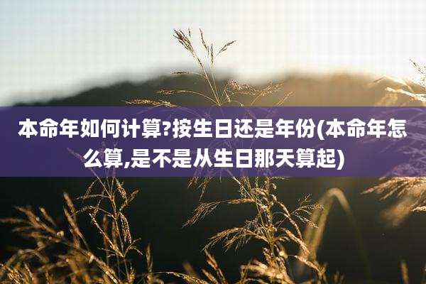 本命年如何计算?按生日还是年份(本命年怎么算,是不是从生日那天算起)