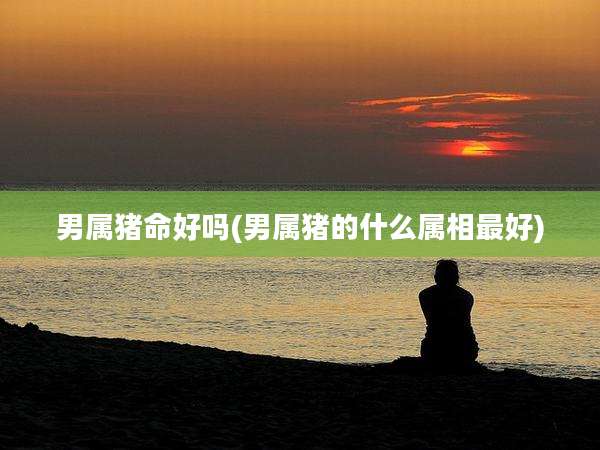 男属猪命好吗(男属猪的什么属相最好)