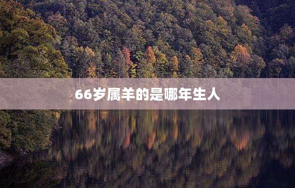 66岁属羊的是哪年生人