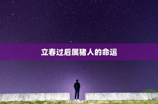 立春过后属猪人的命运