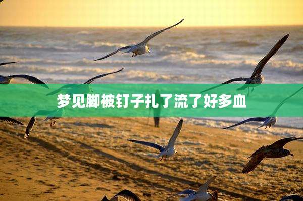 梦见脚被钉子扎了流了好多血