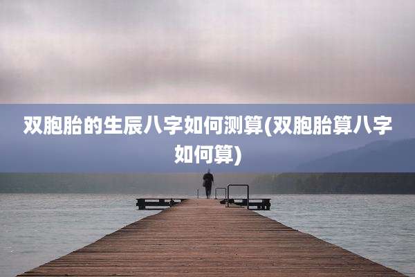 双胞胎的生辰八字如何测算(双胞胎算八字如何算)