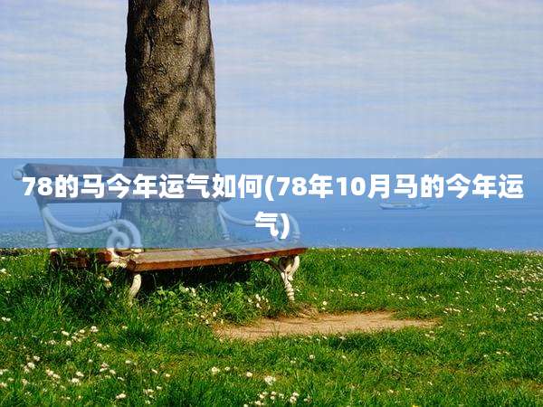 78的马今年运气如何(78年10月马的今年运气)