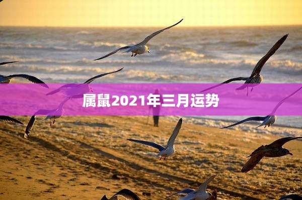 属鼠2021年三月运势