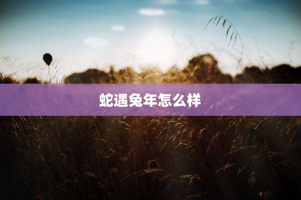 蛇遇兔年怎么样