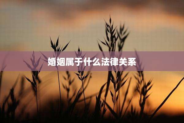 婚姻属于什么法律关系