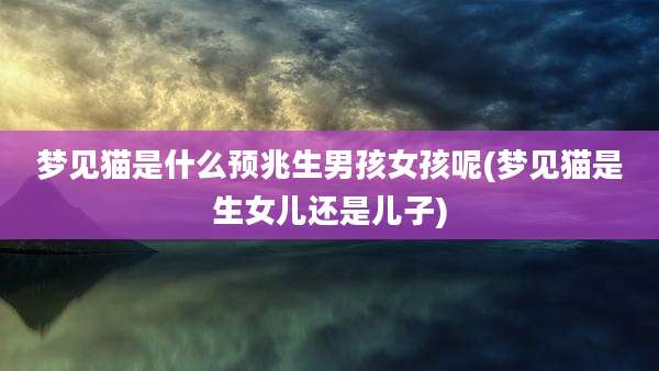 梦见猫是什么预兆生男孩女孩呢(梦见猫是生女儿还是儿子)