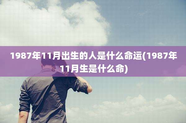 1987年11月出生的人是什么命运(1987年11月生是什么命)